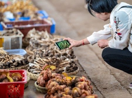 “菜市场游”成云南暑期新玩法