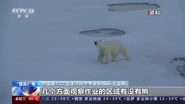 北冰洋科考进行时：队员作息难规律 防熊压力大