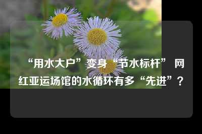 “用水大户”变身“节水标杆” 网红亚运场馆的水循环有多“先进”？