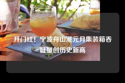 开门红！宁波舟山港元月集装箱吞吐量创历史新高