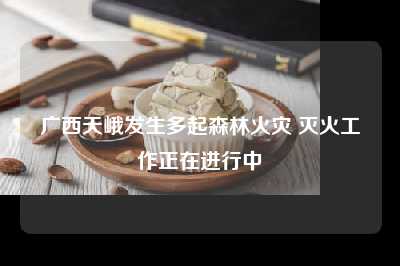 广西天峨发生多起森林火灾 灭火工作正在进行中