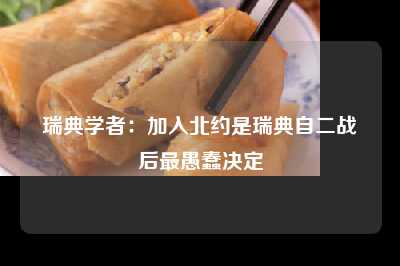 瑞典学者：加入北约是瑞典自二战后最愚蠢决定