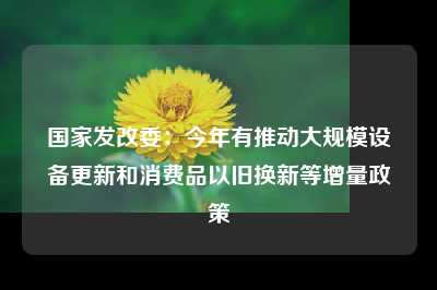 国家发改委：今年有推动大规模设备更新和消费品以旧换新等增量政策